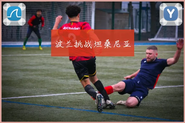 波兰挑战坦桑尼亚