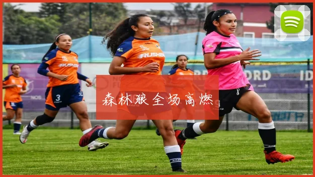 森林狼全场高燃