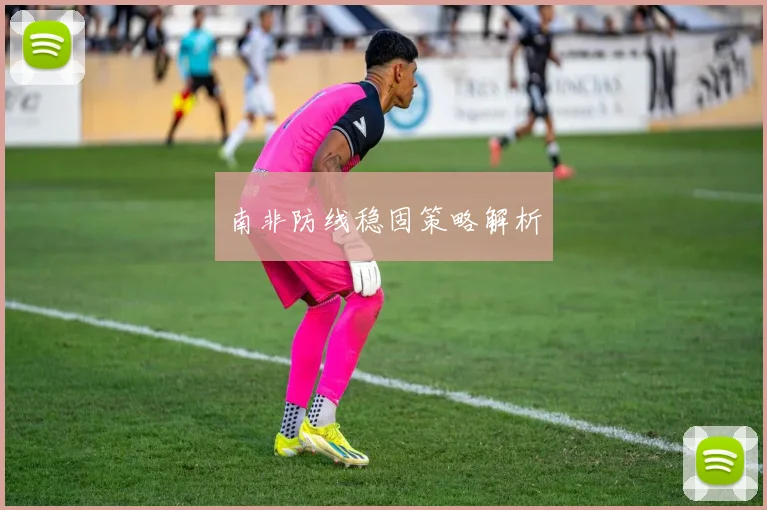 南非防线稳固策略解析