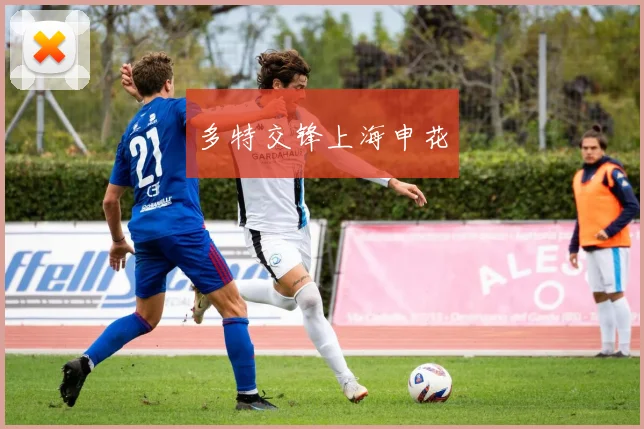 多特交锋上海申花