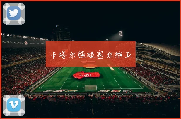 卡塔尔强碰塞尔维亚